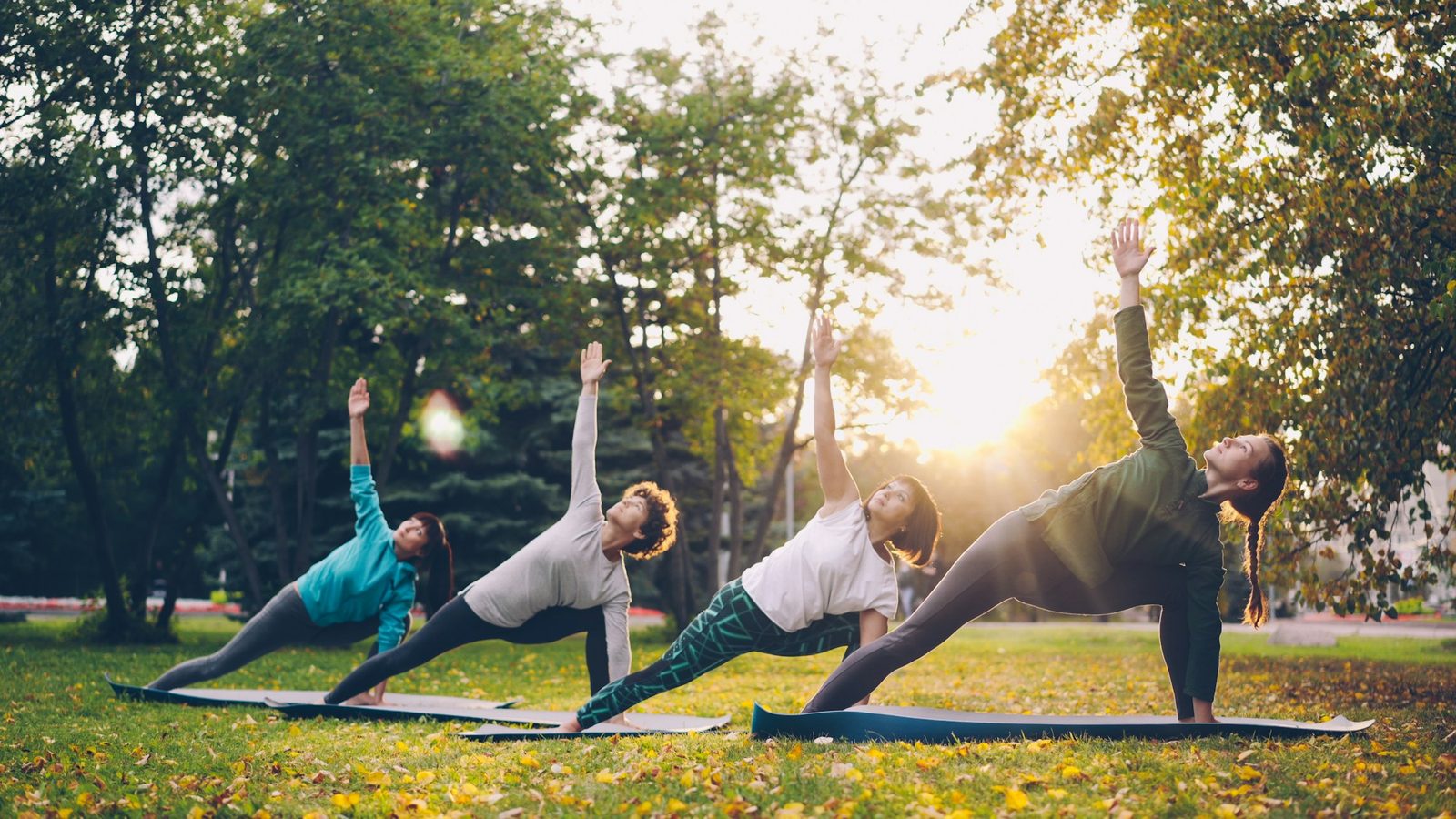 Quatro pessoas em postura de yoga sobre tapetes na grama de um parque, contra o sol baixo do fim da tarde